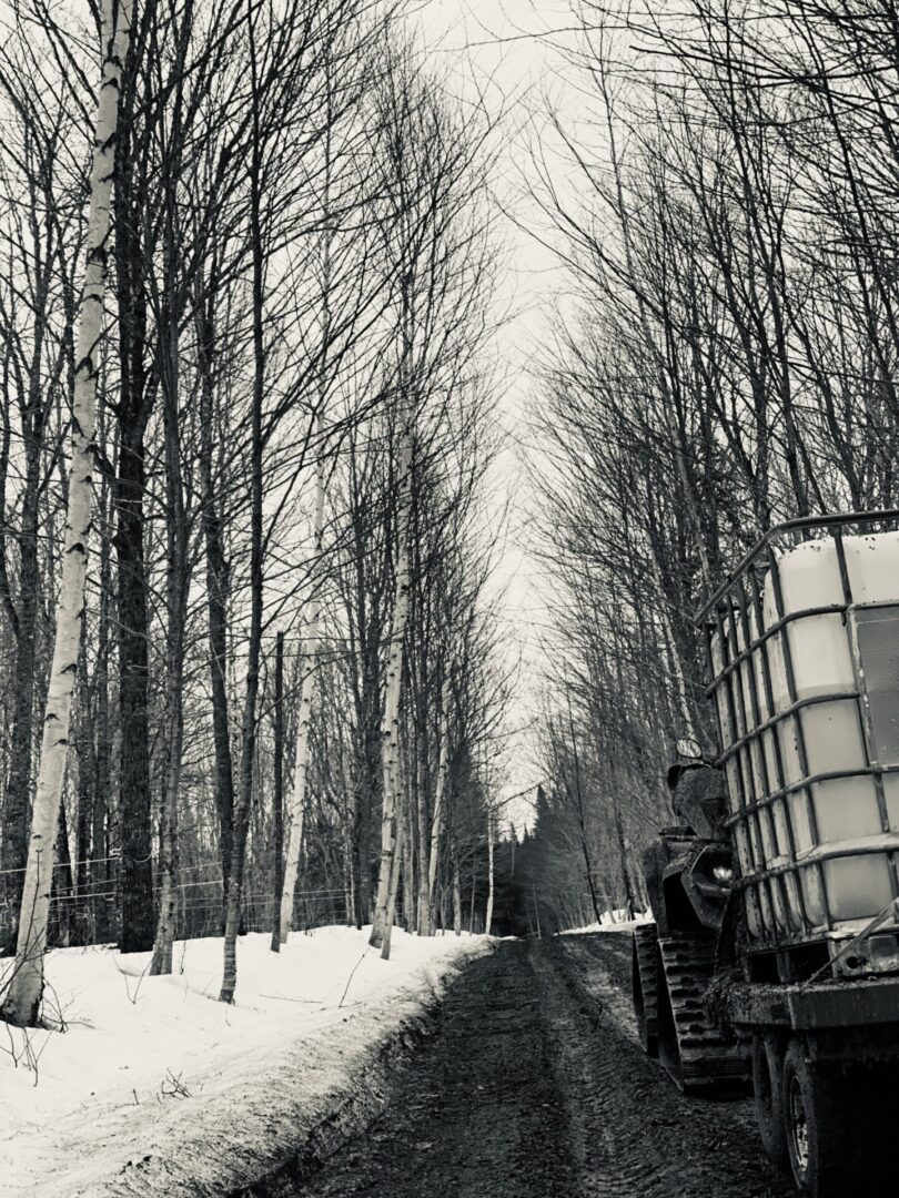 Little Ouest Maple Taps